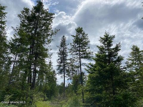 Lt 3 Blk 4 E Amulet Cir, Rathdrum, ID 83858 photo 18