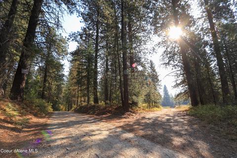 519 Hines Rd, Sandpoint, ID 83864 photo 33