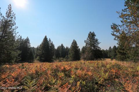 519 Hines Rd, Sandpoint, ID 83864 photo 4
