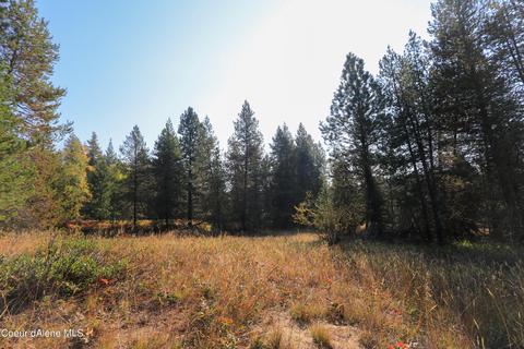 519 Hines Rd, Sandpoint, ID 83864 photo 35