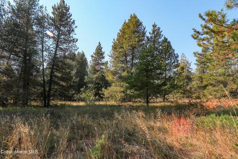 519 Hines Rd, Sandpoint, ID 83864 photo 1