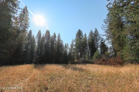 519 Hines Rd, Sandpoint, ID 83864 photo 38