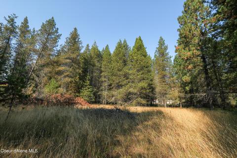 519 Hines Rd, Sandpoint, ID 83864 photo 37