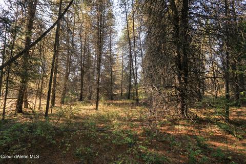 519 Hines Rd, Sandpoint, ID 83864 photo 36