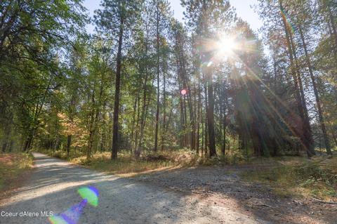 519 Hines Rd, Sandpoint, ID 83864 photo 19