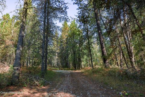 519 Hines Rd, Sandpoint, ID 83864 photo 17