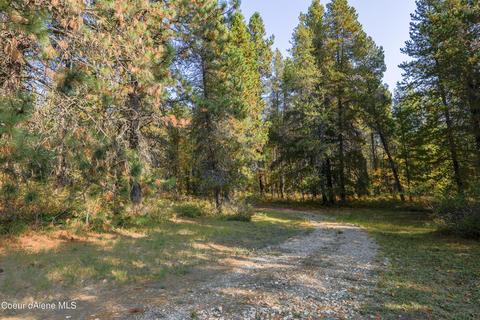 519 Hines Rd, Sandpoint, ID 83864 photo 3