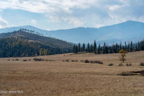 Parcel 2 Liberty Lane Tyson Creek Ranch, Santa, ID 83866