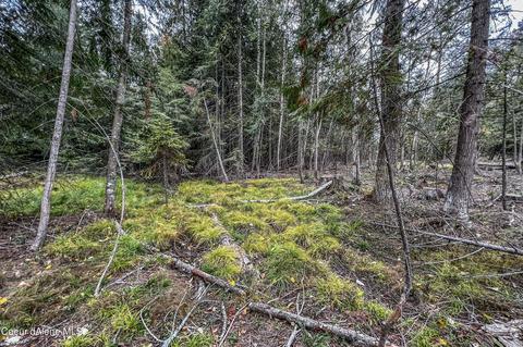 3400 Cocolalla Loop Rd, Cocolalla, ID 83813 photo 37