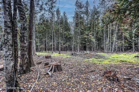 3400 Cocolalla Loop Rd, Cocolalla, ID 83813 photo 39