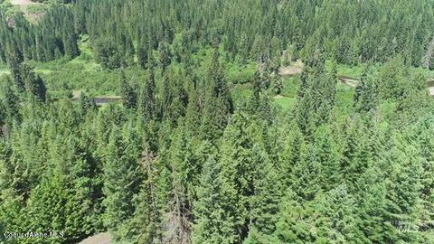 Nka Lolo Creek Rd, Kooskia, ID 83539