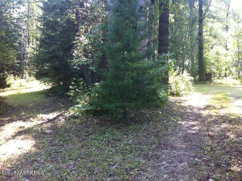 5198 Upper Pack River Rd, Sandpoint, ID 83864 photo 5