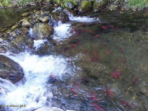 lot4 Granite Creek Ln, Bayview, ID 83803