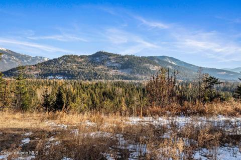 651 Sled Run Trl, Clark Fork, ID 83811 photo 44