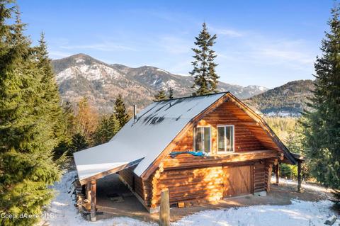651 Sled Run Trl, Clark Fork, ID 83811 photo 3