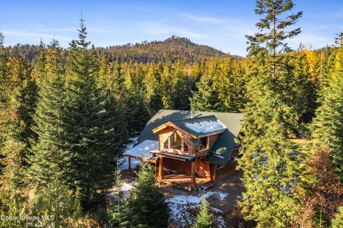 651 Sled Run Trl, Clark Fork, ID 83811 photo 1