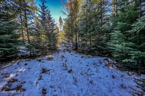 13151 W W Pine St, Dover, ID 83825