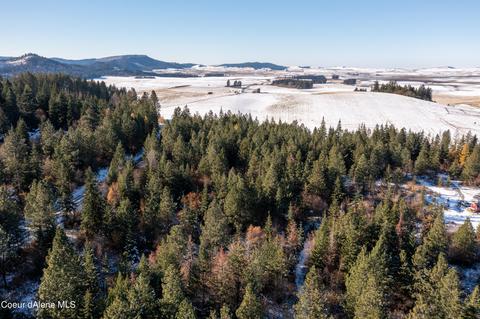 283 Sinkler Rd, Plummer, ID 83851 photo 8