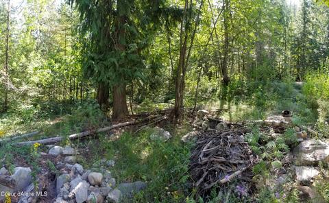 484 Oliver Rd, Sandpoint, ID 83864 photo 8