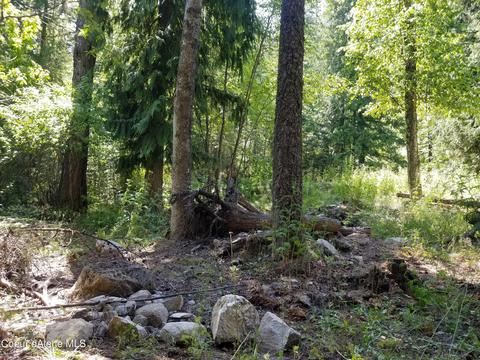 484 Oliver Rd, Sandpoint, ID 83864 photo 13