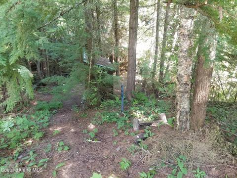 484 Oliver Rd, Sandpoint, ID 83864 photo 14