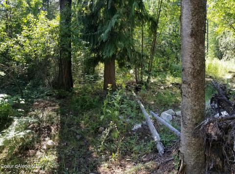 484 Oliver Rd, Sandpoint, ID 83864 photo 19
