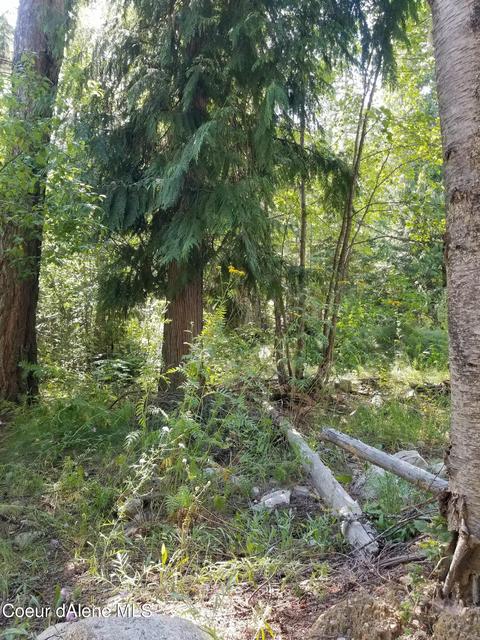 484 Oliver Rd, Sandpoint, ID 83864 photo 18