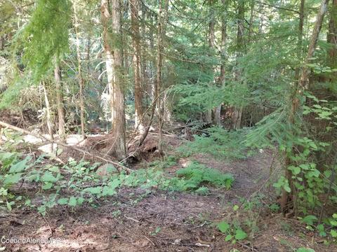 484 Oliver Rd, Sandpoint, ID 83864 photo 15