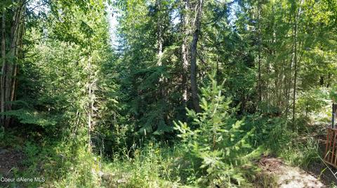 484 Oliver Rd, Sandpoint, ID 83864 photo 12