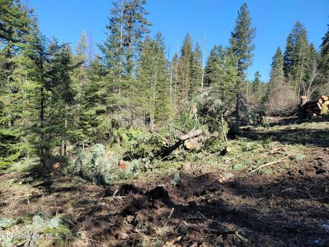 97 West Harrison Street # blk 1, Harrison, ID 83833