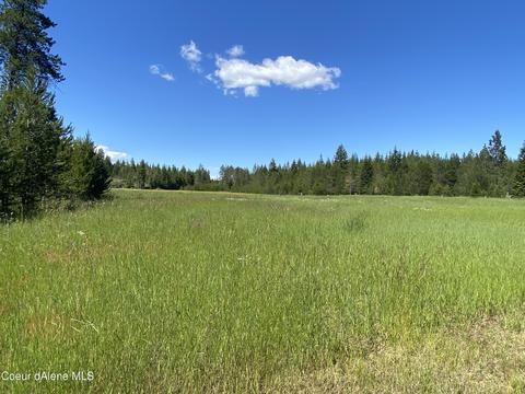 193 Vigs Dr, Athol, ID 83801 photo 42