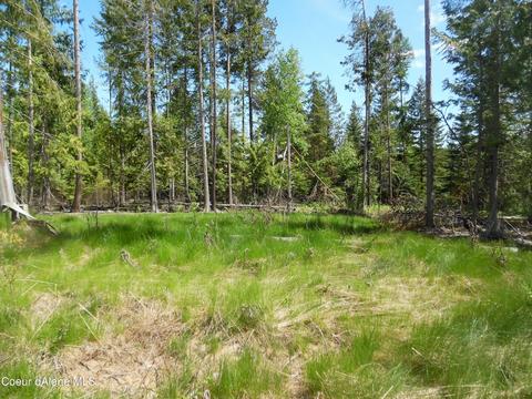 112 A St, Sandpoint, ID 83864 photo 6