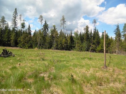 112 A St, Sandpoint, ID 83864 photo 1