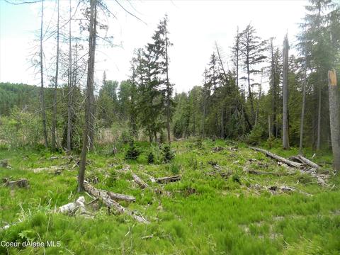 112 A St, Sandpoint, ID 83864 photo 13