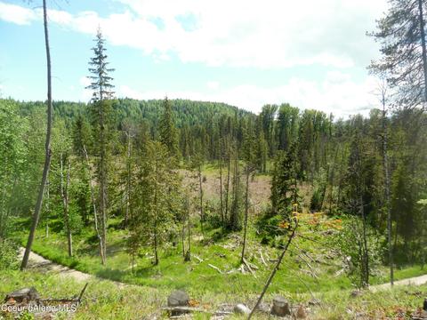 112 A St, Sandpoint, ID 83864 photo 3