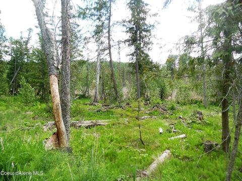 112 A St, Sandpoint, ID 83864 photo 15