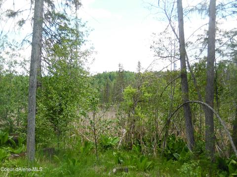 112 A St, Sandpoint, ID 83864 photo 17