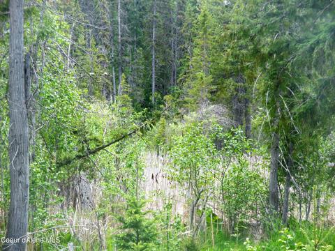 112 A St, Sandpoint, ID 83864 photo 16