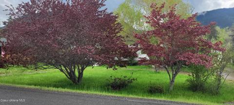 372 N River Lk, Clark Fork, ID 83811 photo 1