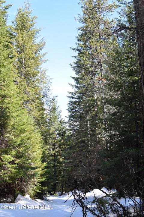 343 Lowrey Ln, Clark Fork, ID 83811 photo 23
