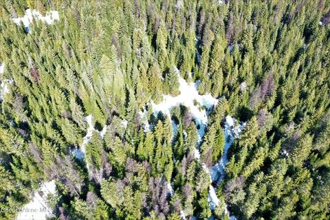 343 Lowrey Ln, Clark Fork, ID 83811 photo 11