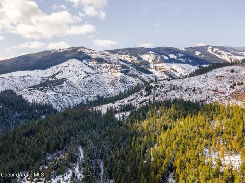 2952 W Fork Pine Creek Rd, Pinehurst, ID 83850 photo 44