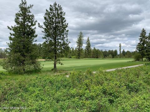 8446 S Buckrail Rd, Harrison, ID 83833 photo 2