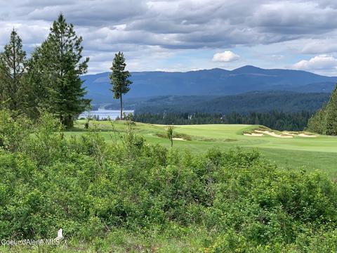 8446 S Buckrail Rd, Harrison, ID 83833 photo 1