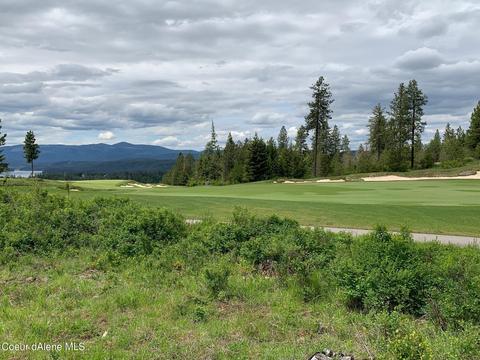 8446 S Buckrail Rd, Harrison, ID 83833 photo 3