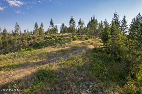 392875 Us-95, Plummer, ID 83851 photo 22