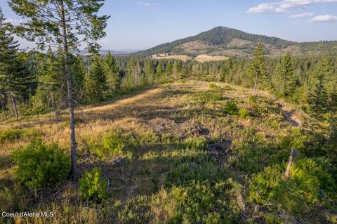 392875 Us-95, Plummer, ID 83851 photo 21
