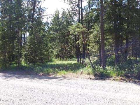 340 Everett Huff Road, Oldtown, ID 83822 photo 18