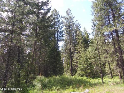 340 Everett Huff Road, Oldtown, ID 83822 photo 12