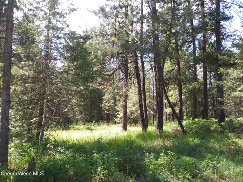 340 Everett Huff Road, Oldtown, ID 83822 photo 20